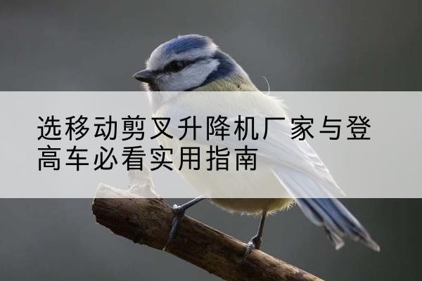 顺义区电动升降机厂家-选移动剪叉升降机厂家与登高车必看实用指南