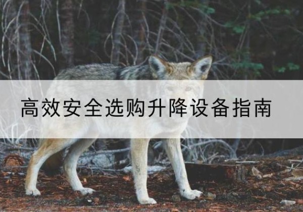 顺义区升降货梯厂家推荐-*安全选购升降设备指南